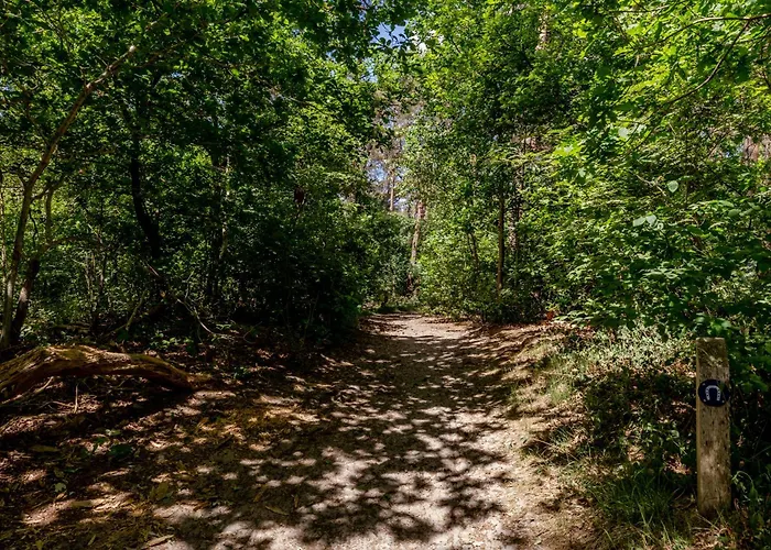 Villa Duin & Daal Helvoirt